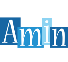 Amin winter logo