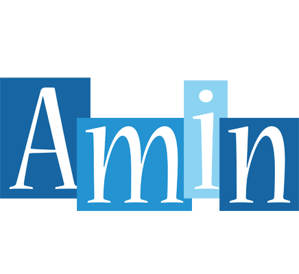 Amin winter logo