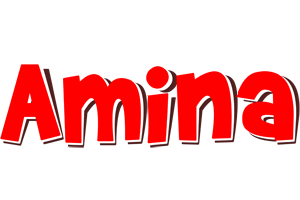 Amina basket logo