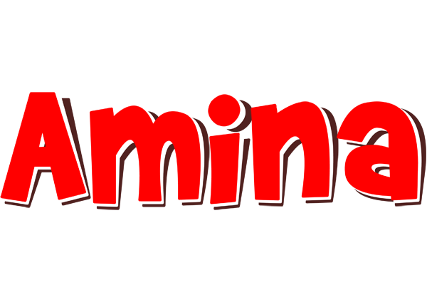 Amina basket logo