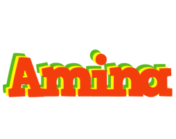 Amina bbq logo