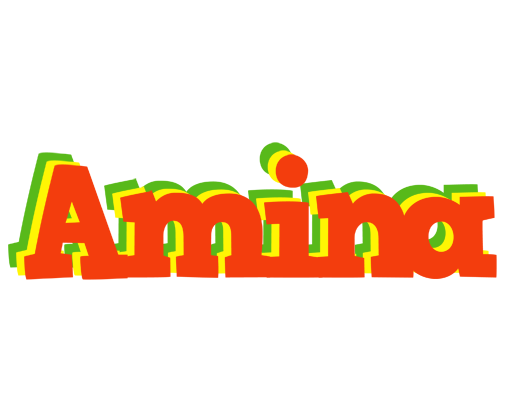 Amina bbq logo
