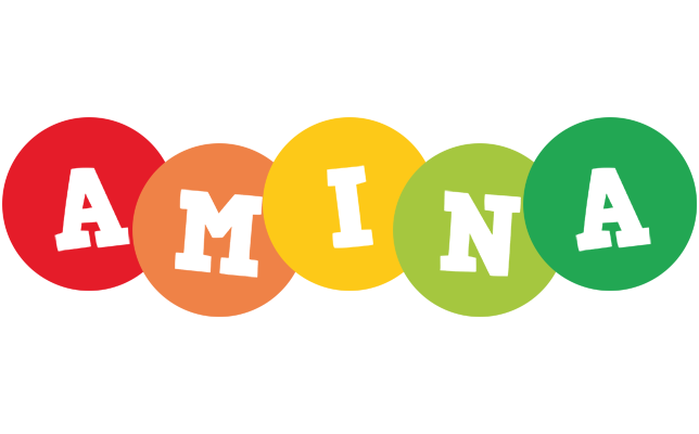 Amina boogie logo
