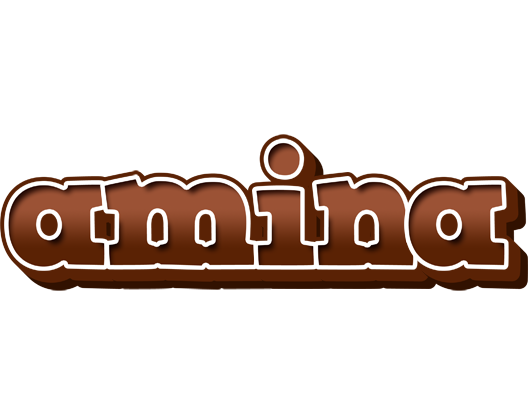 Amina brownie logo