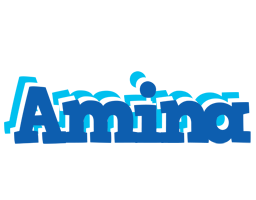 Amina business logo