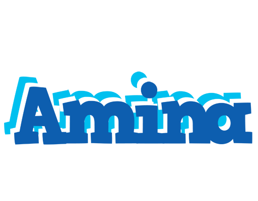 Amina business logo