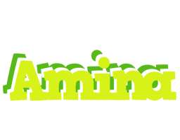 Amina citrus logo