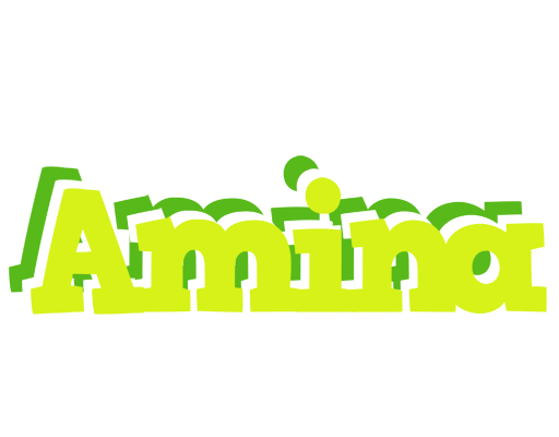 Amina citrus logo