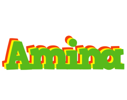 Amina crocodile logo