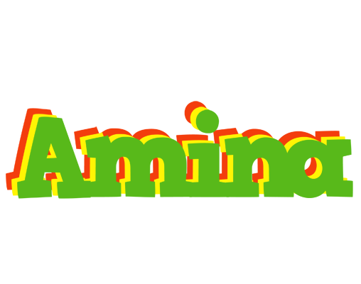 Amina crocodile logo