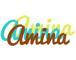 Amina cupcake logo