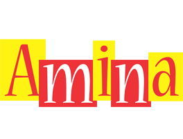 Amina errors logo