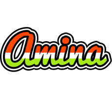 Amina exotic logo