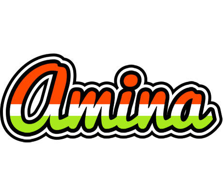 Amina exotic logo