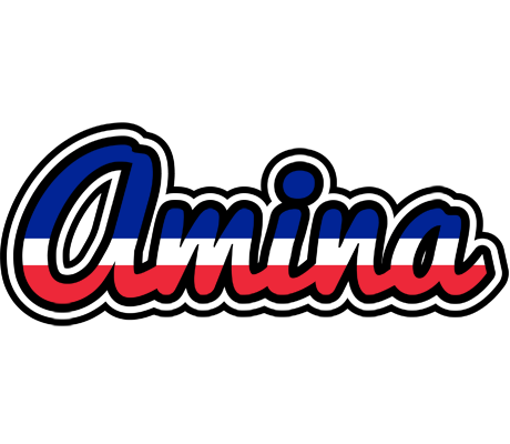 Amina france logo