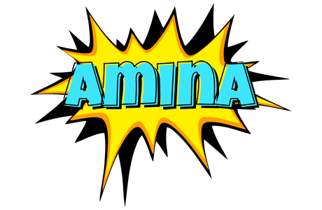 Amina indycar logo