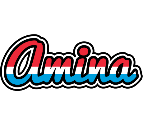 Amina norway logo
