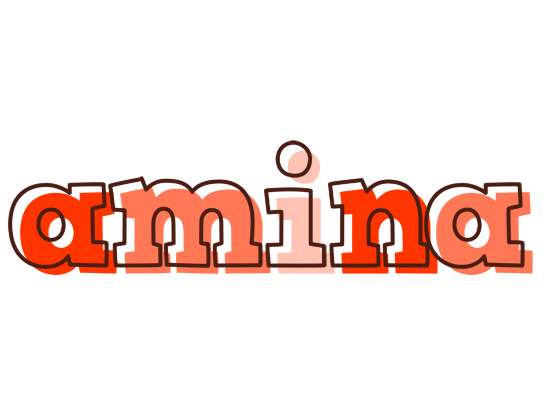Amina paint logo