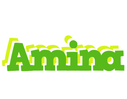 Amina picnic logo