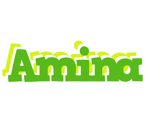 Amina picnic logo