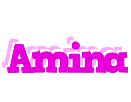 Amina rumba logo