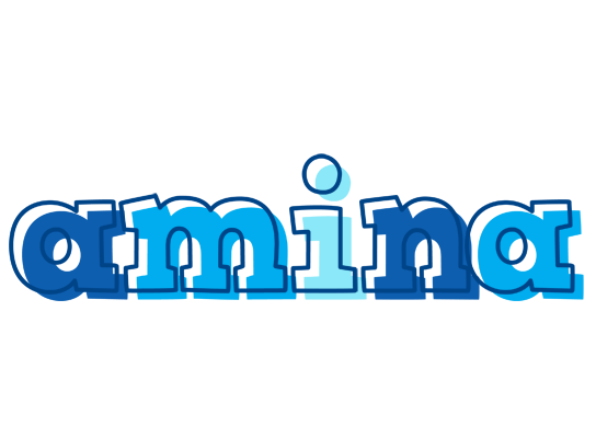 Amina sailor logo