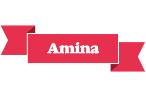 Amina sale logo