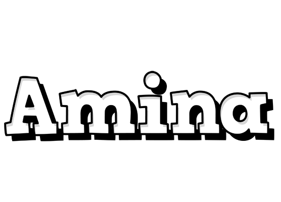 Amina snowing logo