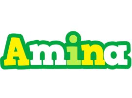 Amina soccer logo