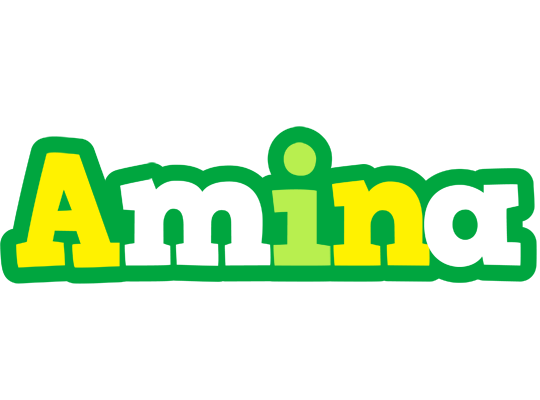 Amina soccer logo