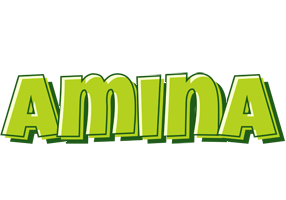 Amina summer logo