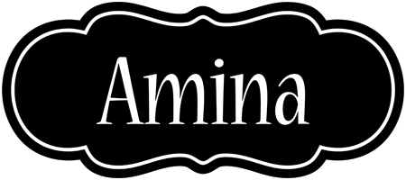 Amina welcome logo