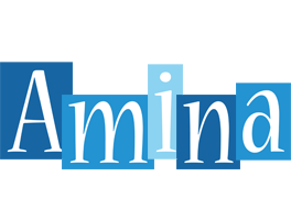 Amina winter logo
