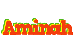 Aminah bbq logo