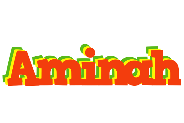 Aminah bbq logo