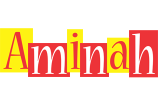 Aminah errors logo