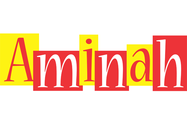Aminah errors logo