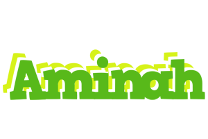 Aminah picnic logo