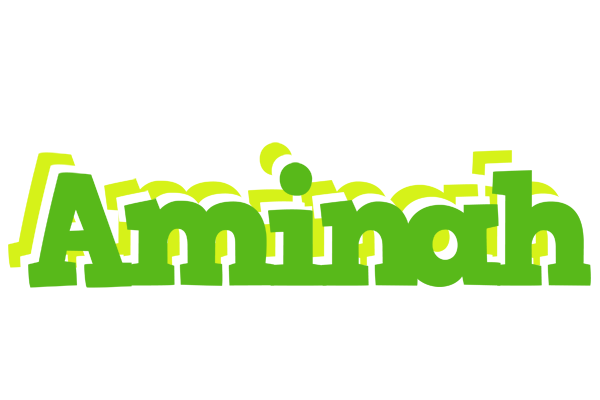 Aminah picnic logo