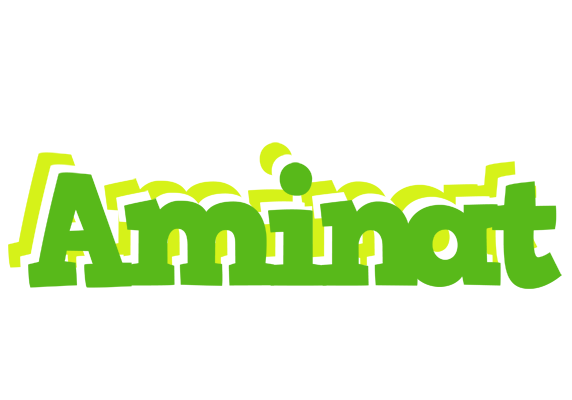 Aminat picnic logo