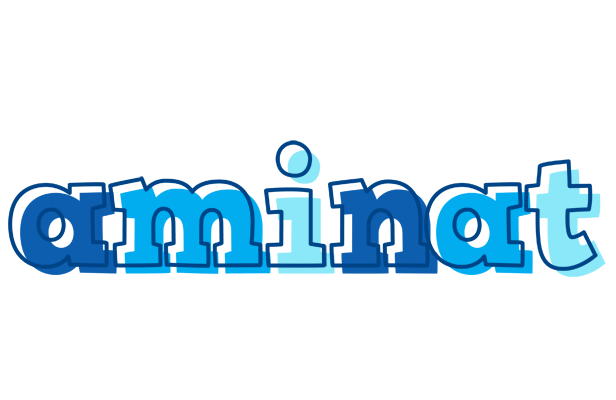Aminat sailor logo