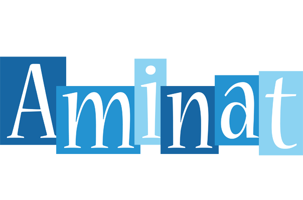Aminat winter logo