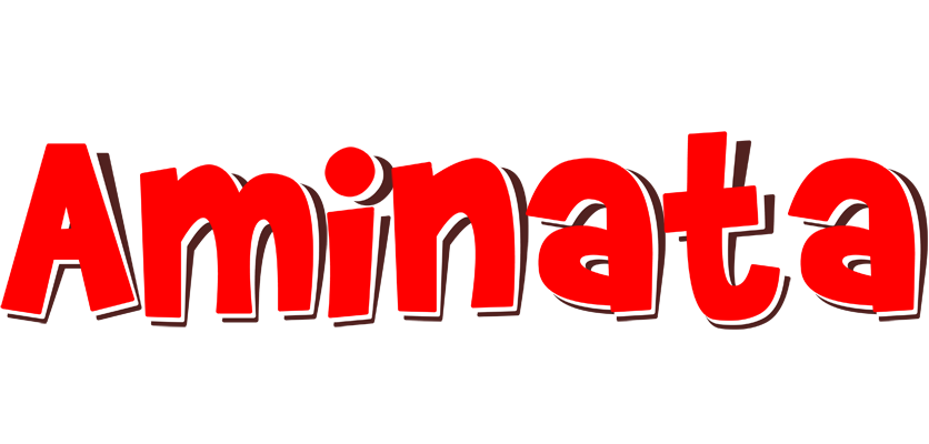 Aminata basket logo