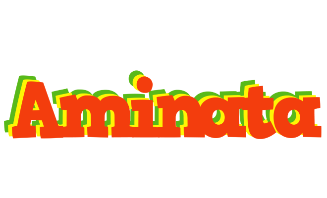 Aminata bbq logo