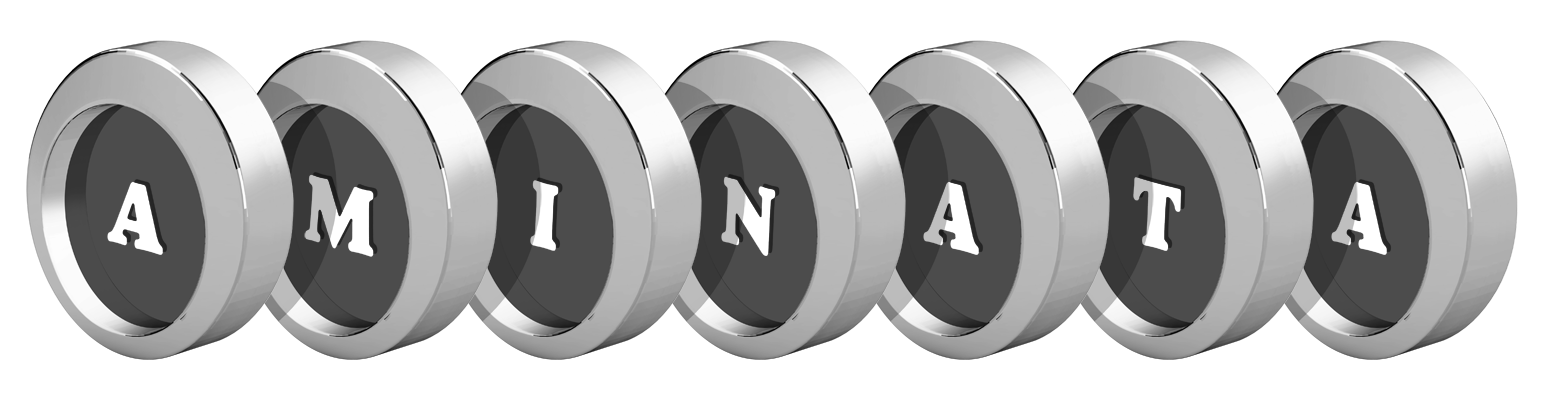 Aminata coins logo