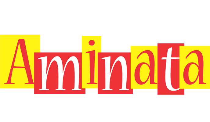 Aminata errors logo