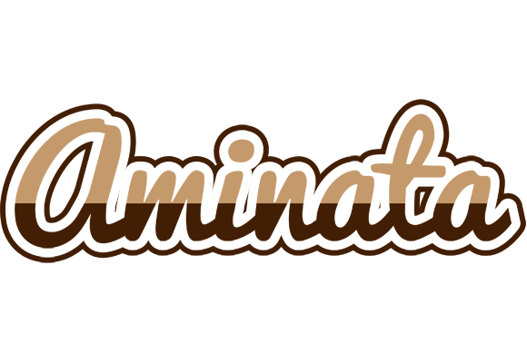 Aminata exclusive logo