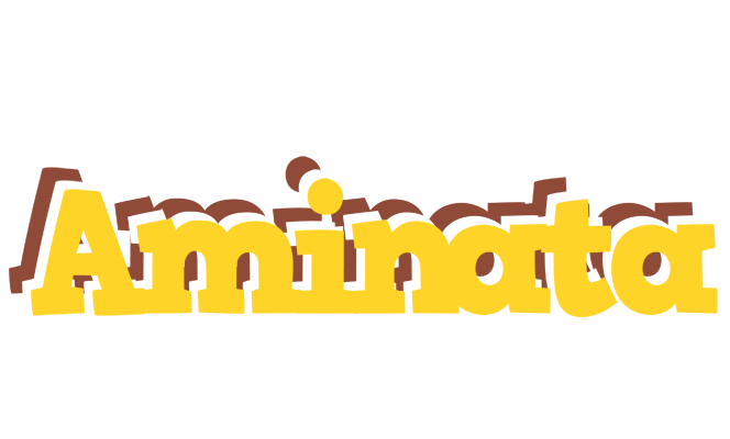 Aminata hotcup logo