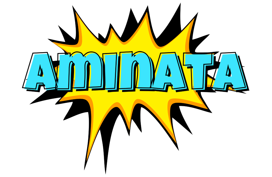 Aminata indycar logo