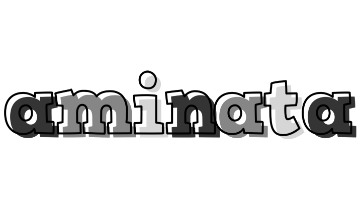 Aminata night logo